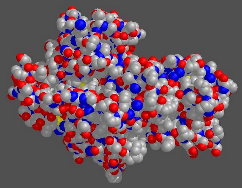 Изображение «свернутой в клубок» молекулы белка